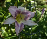 IMG_1923-2.webp
