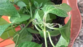 20160628_144501[1].webp