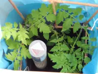 DSCN7986.webp