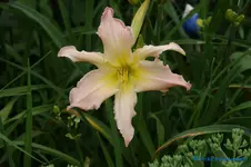 comp_DSC05264.webp