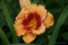 comp_DSC05268.webp