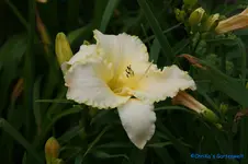 comp_DSC05271.webp
