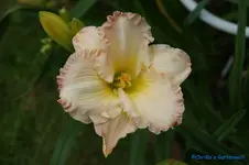 comp_DSC05272.webp