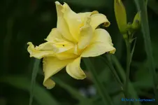 comp_DSC05275.webp