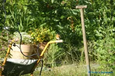 comp_DSC05260.webp