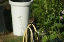 comp_DSC05261.webp