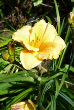 P1120301.webp