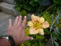 P1120328.webp