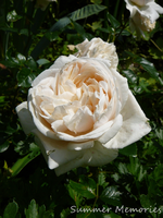 P1120307.webp