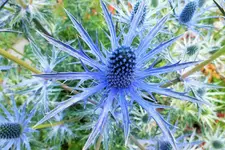DSCF6569 (2).webp