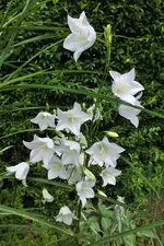 DSCF6510 (2).webp