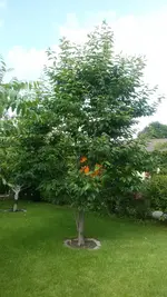 20160627_171501.webp
