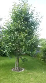 20160627_171443.webp