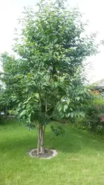 20160627_171434.webp
