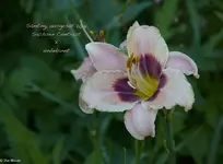IMG_2065.webp