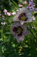 IMG_2068-2.webp