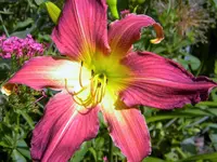 DSCN6524.webp