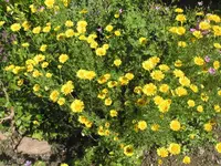 005.webp