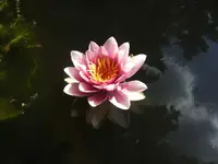 BILD5186.webp