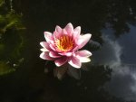 BILD5186.JPG