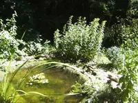 BILD5221.webp