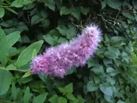 BILD5197.webp