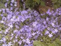 BILD5206.webp