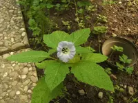 BILD5232.webp
