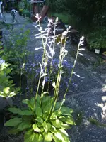 BILD5237.webp