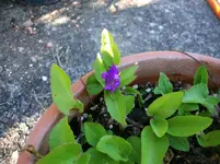 2016-06-29 Namenlos2.webp