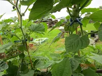 IMG_1206.webp IMG_1206.webp