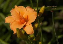 IMG_2137-2.webp