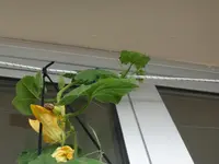 024_2806.webp 024_2806.webp