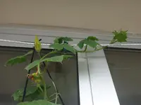 025_3006.webp 025_3006.webp