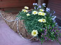 011.webp