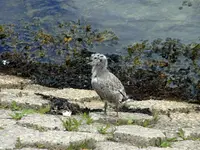 056.webp