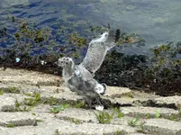 057.webp