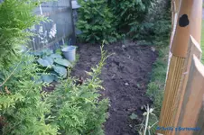 comp_DSC05285.webp