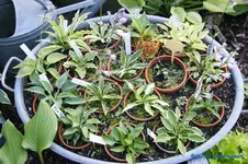 comp_DSC05278.webp