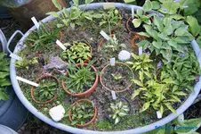 comp_DSC05279.webp