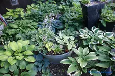 comp_DSC05283.webp