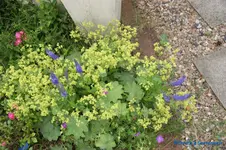 comp_DSC05294.webp