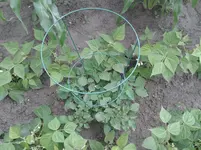 20160630_172816.jpg