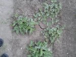 20160630_172602.jpg