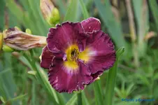 comp_DSC05286.webp
