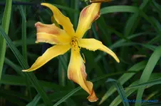 comp_DSC05291.webp