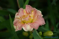 comp_DSC05292.webp