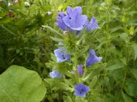 072.webp