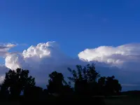 DSCN7240.webp