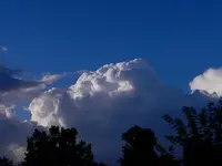 DSCN7244.webp